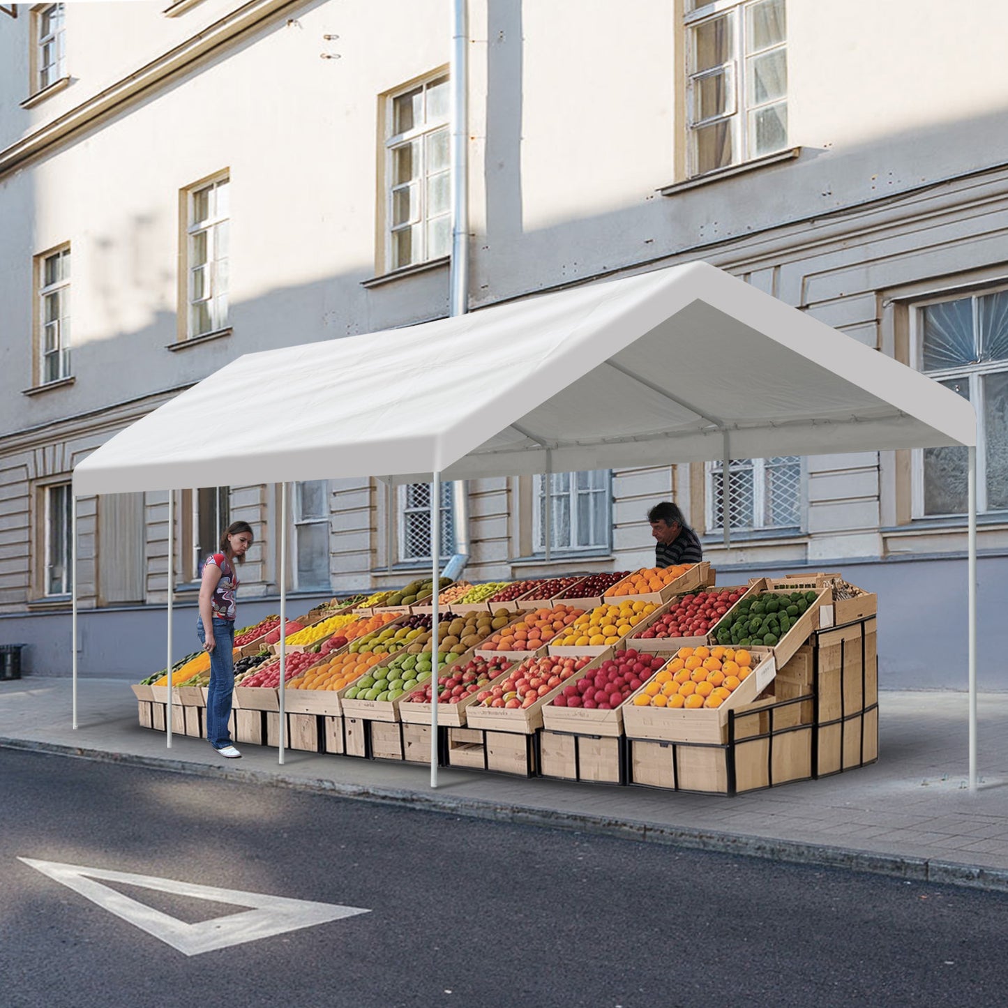 20x10/20x12 ft. Carport Canopy Tent - Portable Garage, Boat Shelter, Party Canopy