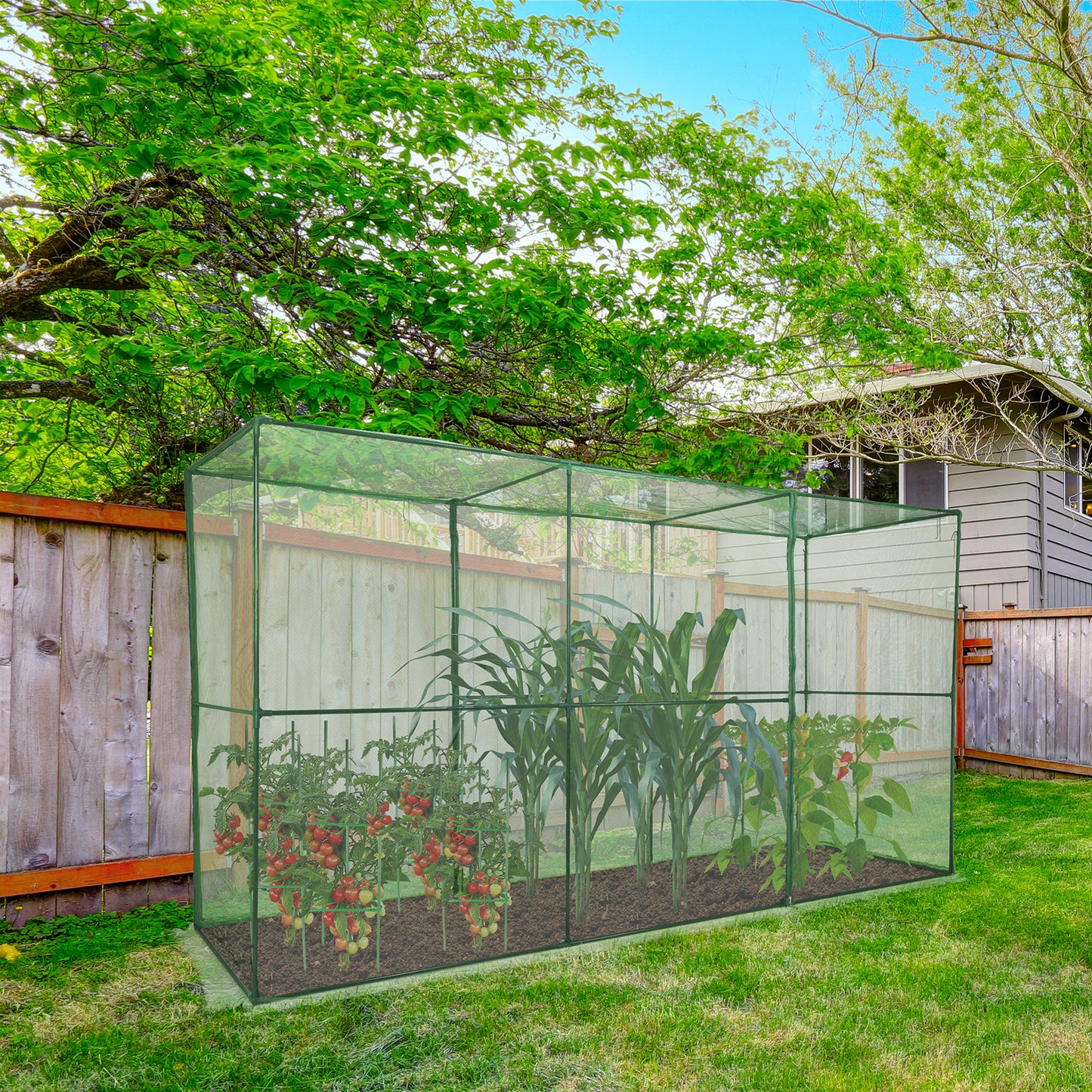 Crop Cage Plant Protection Netting Tent with Zipper for Vegetables Fruits and Plant - Aoodor 