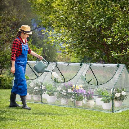 Mini Greenhouse with Zipper Doors, Waterproof & UV Protected, Transparent