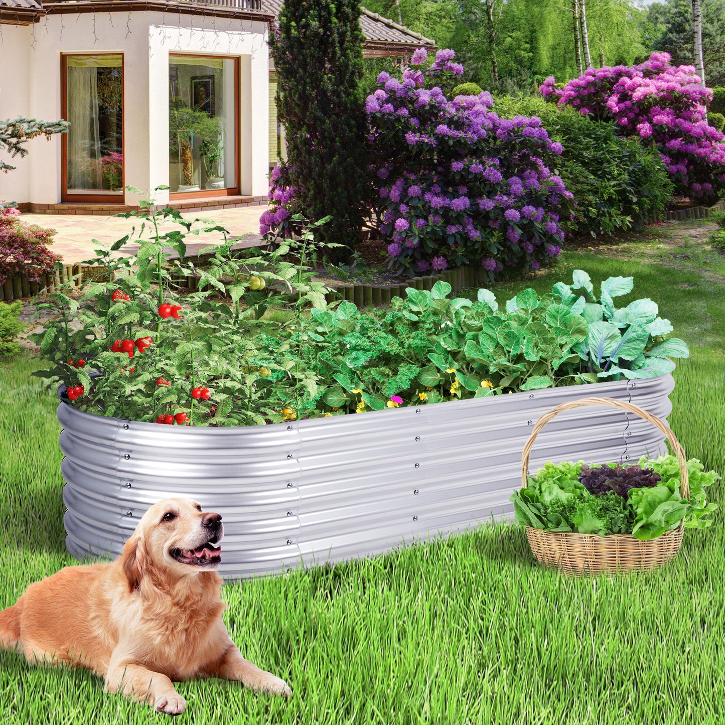 17" Tall Galvanized Raised Garden Bed Kit - 79"x31.5"