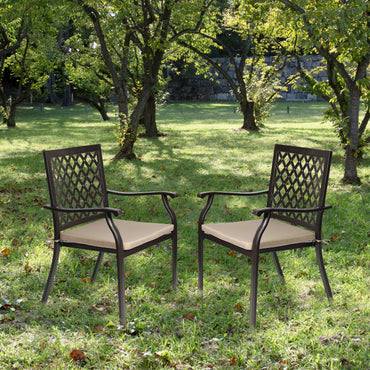 2-Piece Set Outdoor Patio Metal Dining Chairs with Seat Cushions
