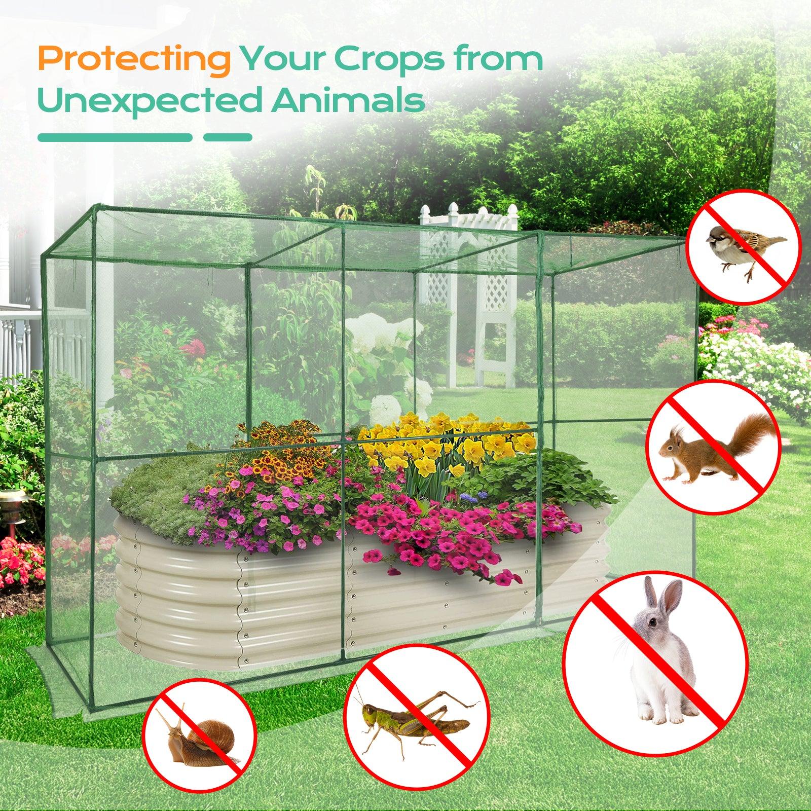 Crop Cage Plant Protection Netting Tent with Zipper for Vegetables Fruits and Plant Greenhouse Aoodor LLC