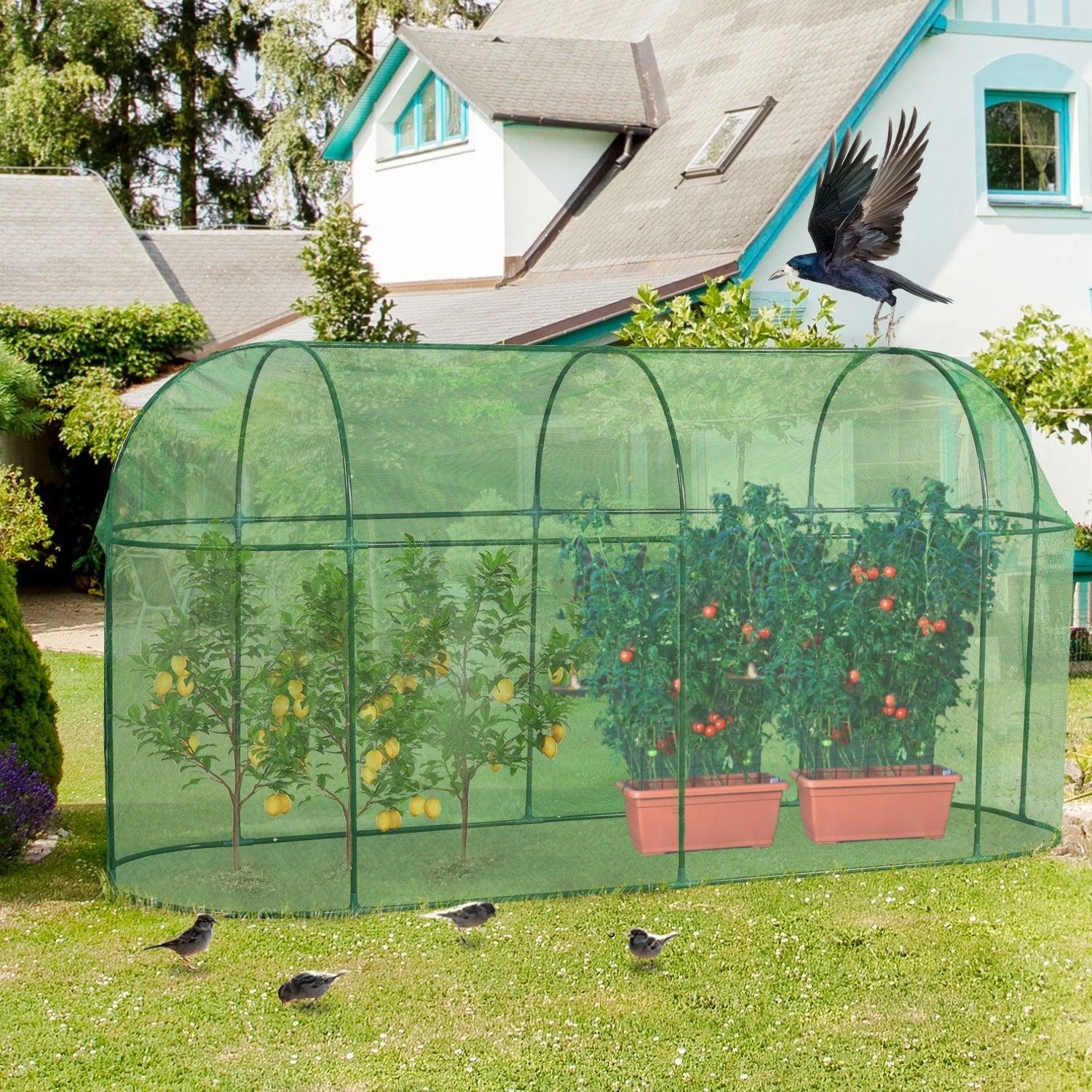 Crop Cage Plant Protection Netting Tent with Zipper for Vegetables Fruits and Plant Greenhouse Aoodor LLC